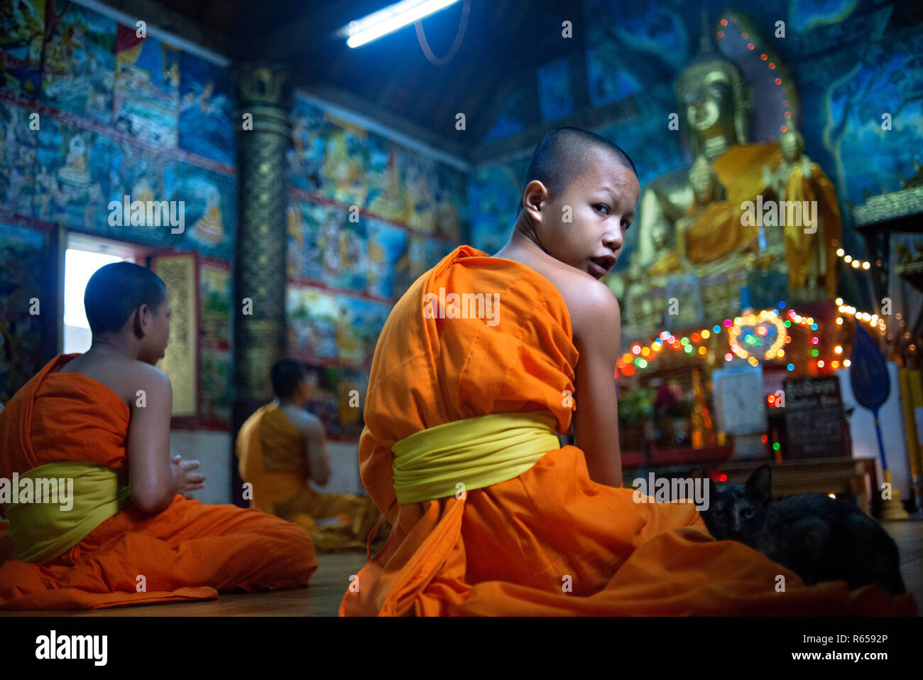 Laotische Buddhistische Mönche beten vor einer goldenen Buddha Statue im Wat Aham Tempel in Luang Prabang, Laos, Asien Stockfoto