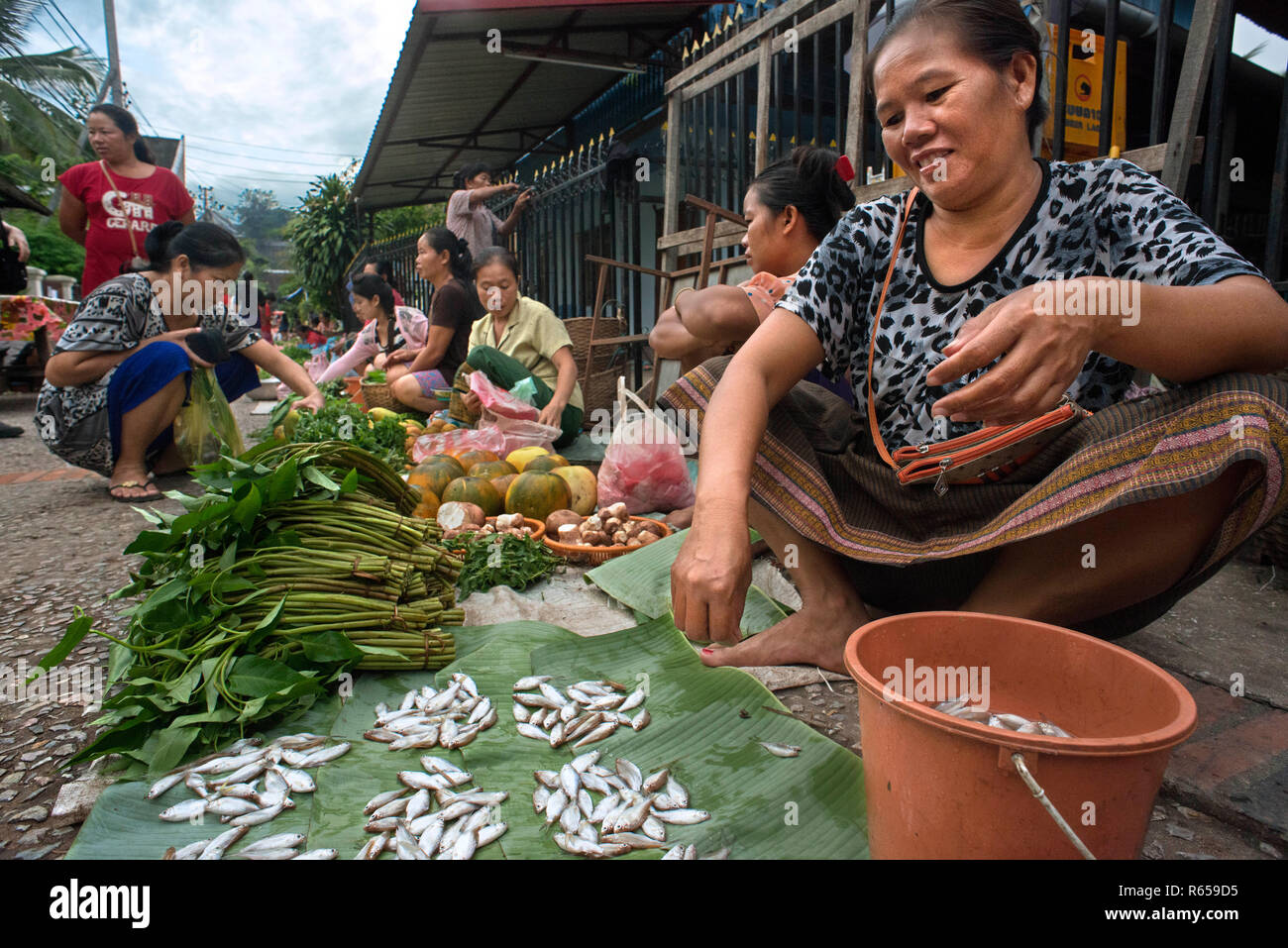 Die Morgen Markt in Luang Prabang, Laos. Fisch zum Verkauf. Beginnend in den frühen Morgenstunden, lokale Anbieter konvergieren auf dieser Straße in der Innenstadt von Luang Praba Stockfoto