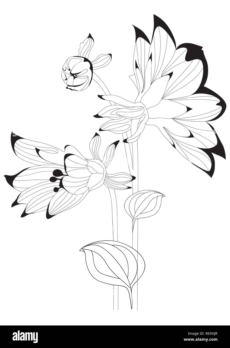 florales design Stock Vektor