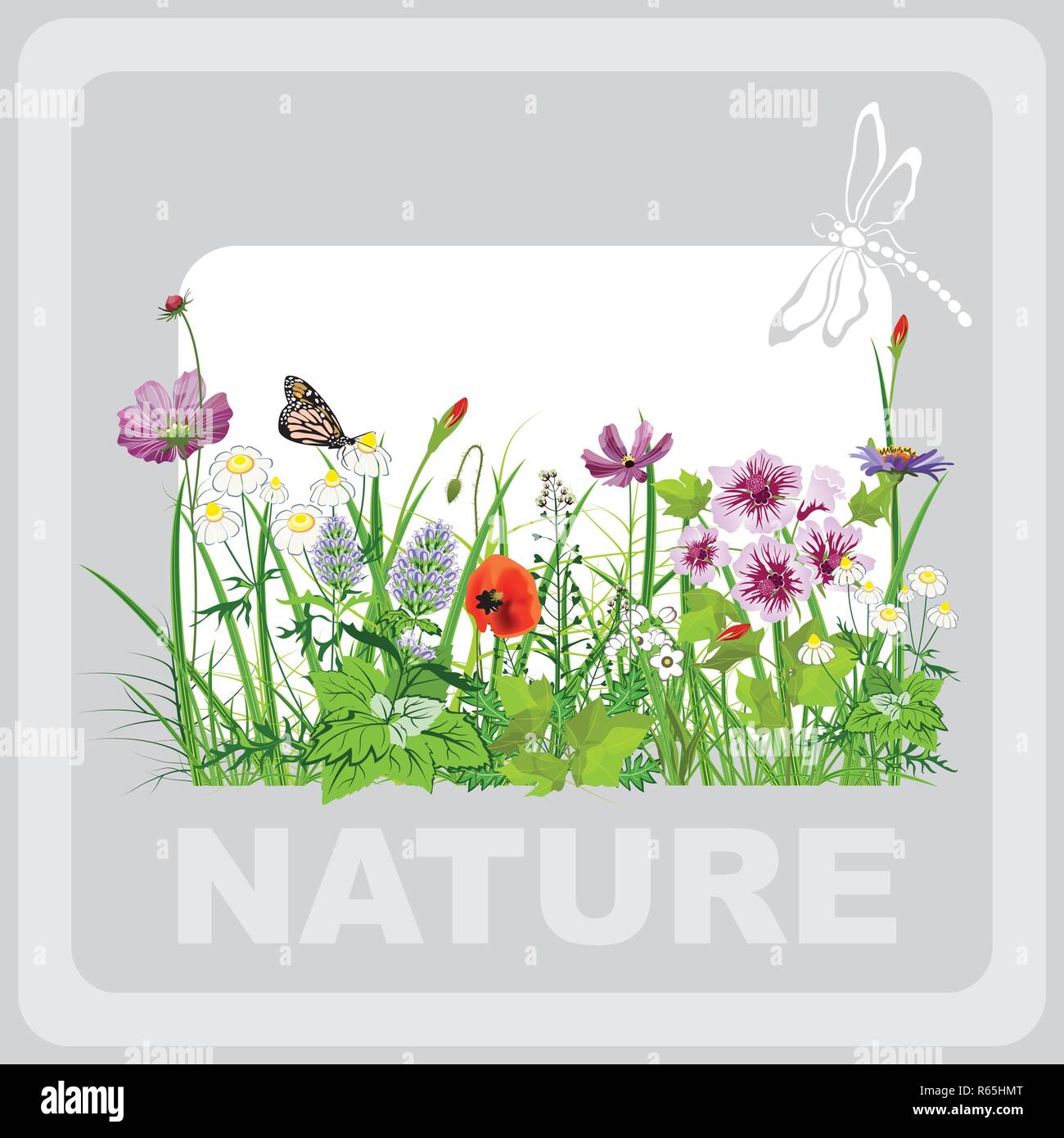 Grünes Gras und Blumen, Landschaft, Natur, Banner in Vektorgrafiken Stock Vektor