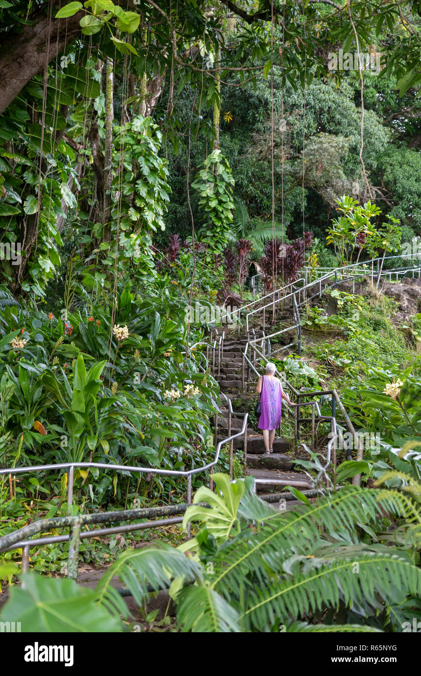 Hilo, Hawaii - eine Frau steigt eine lange Treppe nach oben Rainbow Falls. Stockfoto