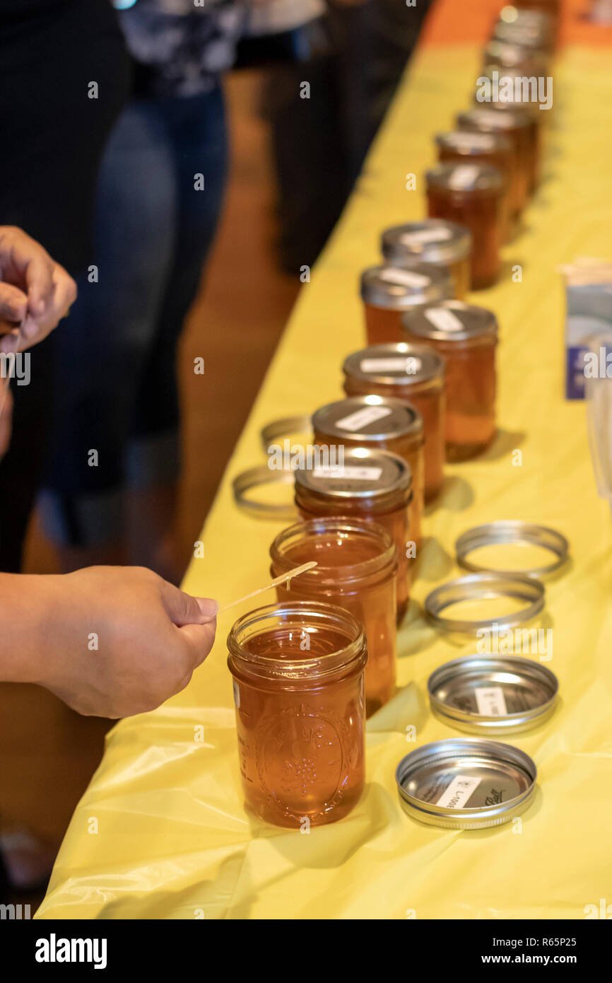 Hilo, Hawaii - Gläser Honig für einen Honig Geschmack testen gesäumt während der jährlichen Schwarze und Weiße Nacht. Die Leute wurden ermutigt, für ihre Stimmen favo Stockfoto