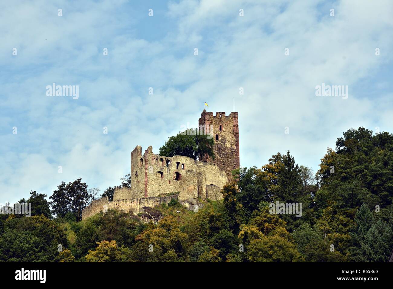 Ruine kastelburg Waldkirch im Breisgau. Stockfoto