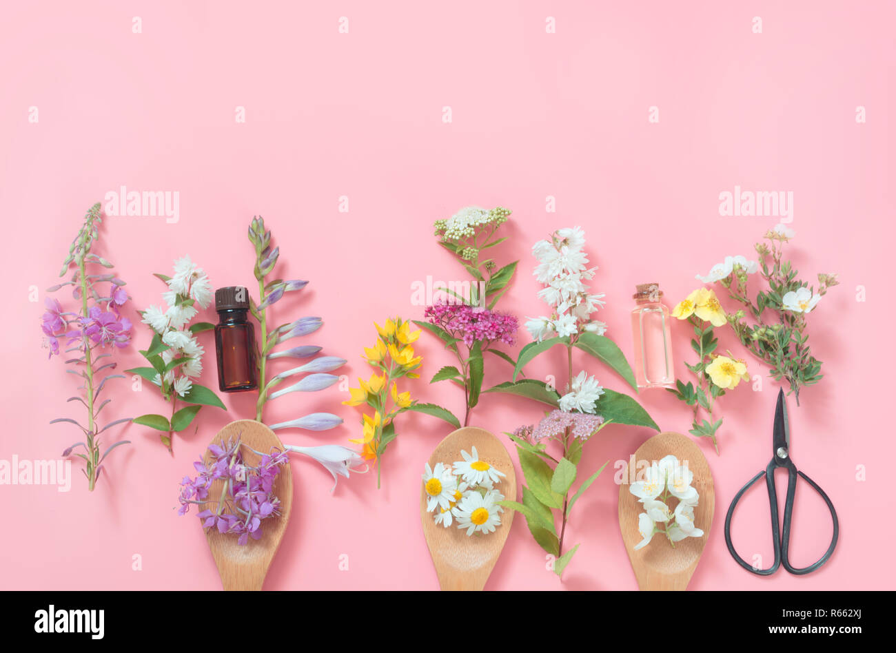 Verschiedene Wiese wilde Blumen auf einem rosa Hintergrund. Florale Komposition mit kopieren. Blick von oben. Spa-Konzept. Stockfoto