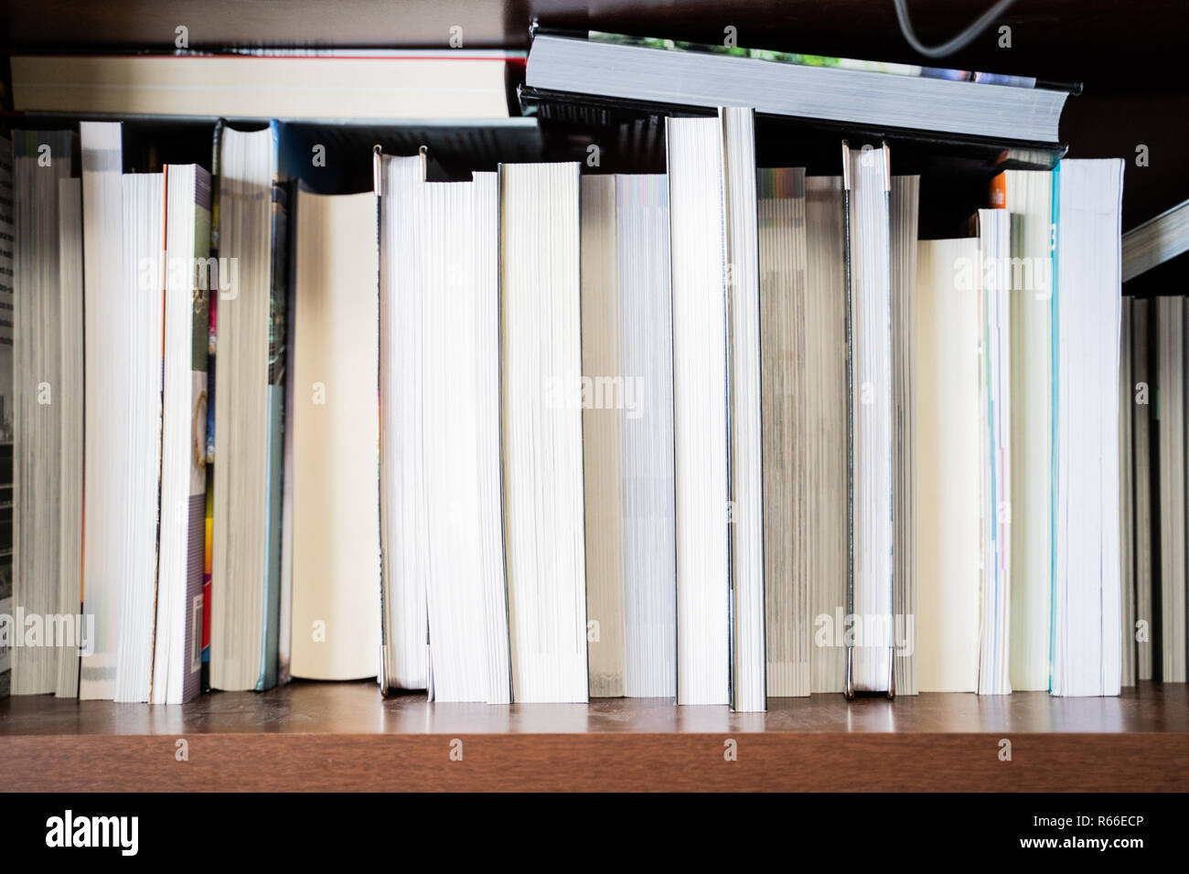 Bücher angezeigt auf Buchhandlung Bücherregale für Verkauf Stockfoto