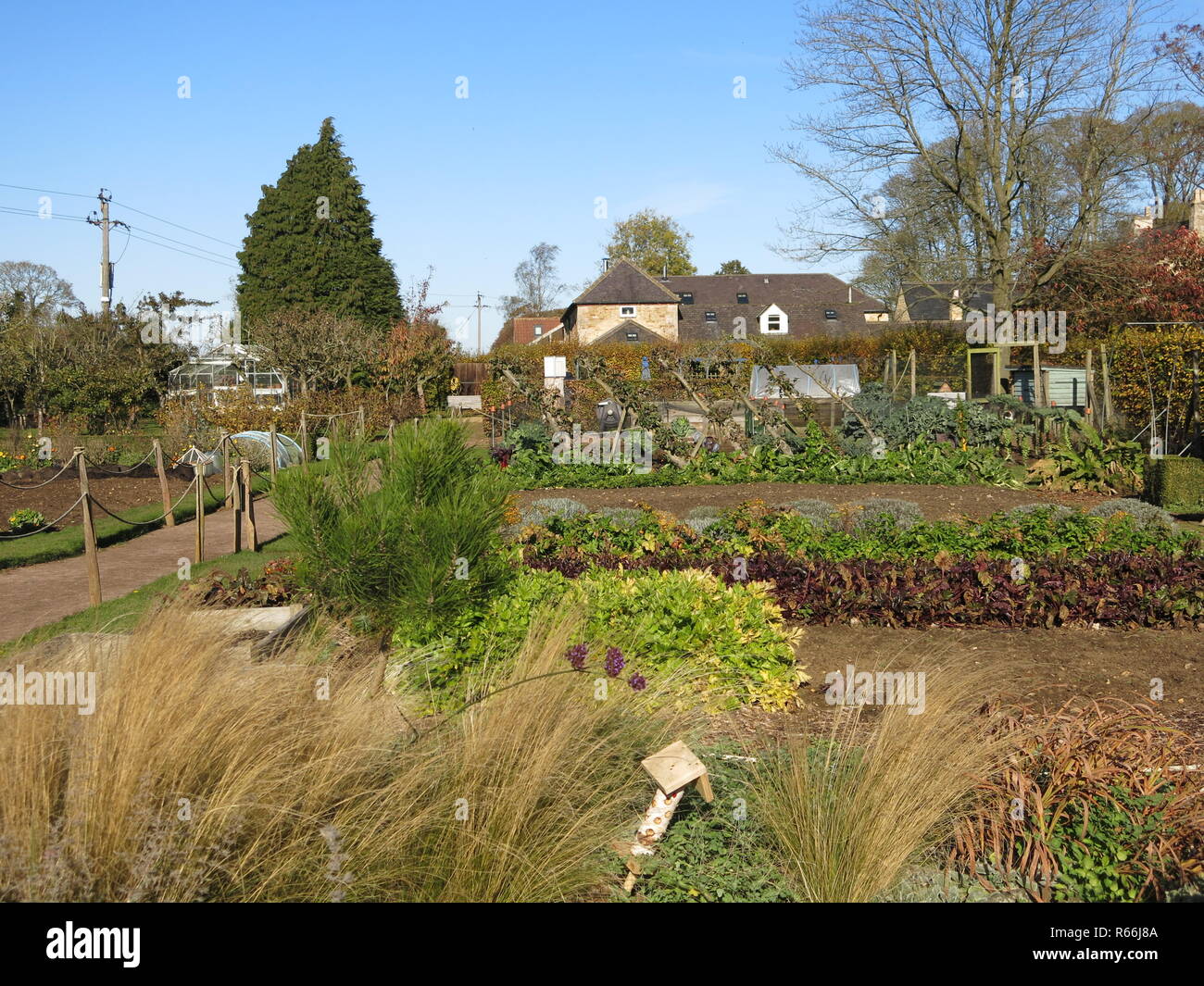 Die Demonstration Gärten in Barnsdale, erstellt von der BBC die Gardener's Welt Geoff Hamilton, Gemüsegärten und Beispiele von Pflanzen. Stockfoto