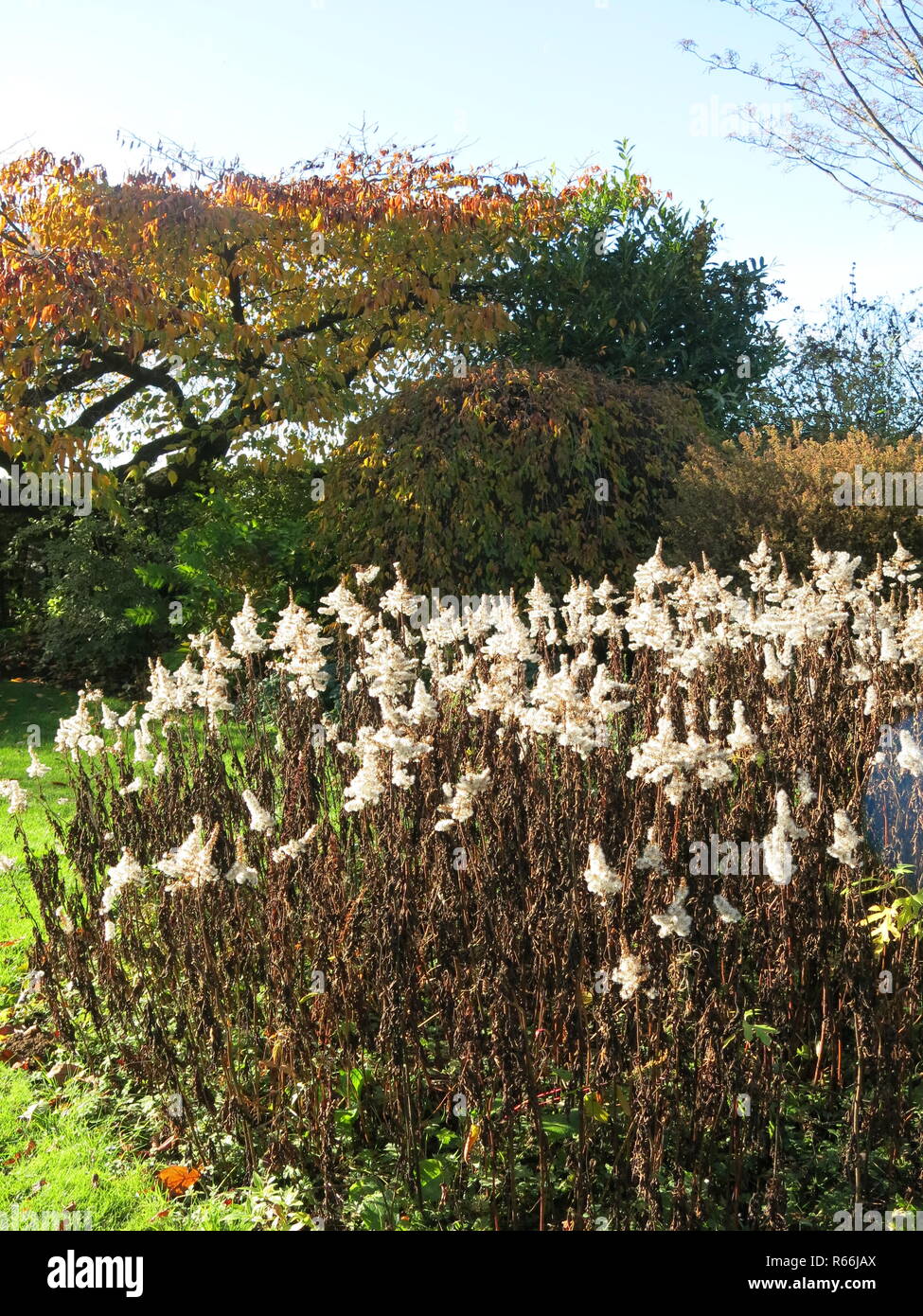 Eine der Demonstration Gärten im Herbst nachmittag Sonnenlicht an Geoff Hamilton's Barnsdale Gärten, Rutland, England Stockfoto