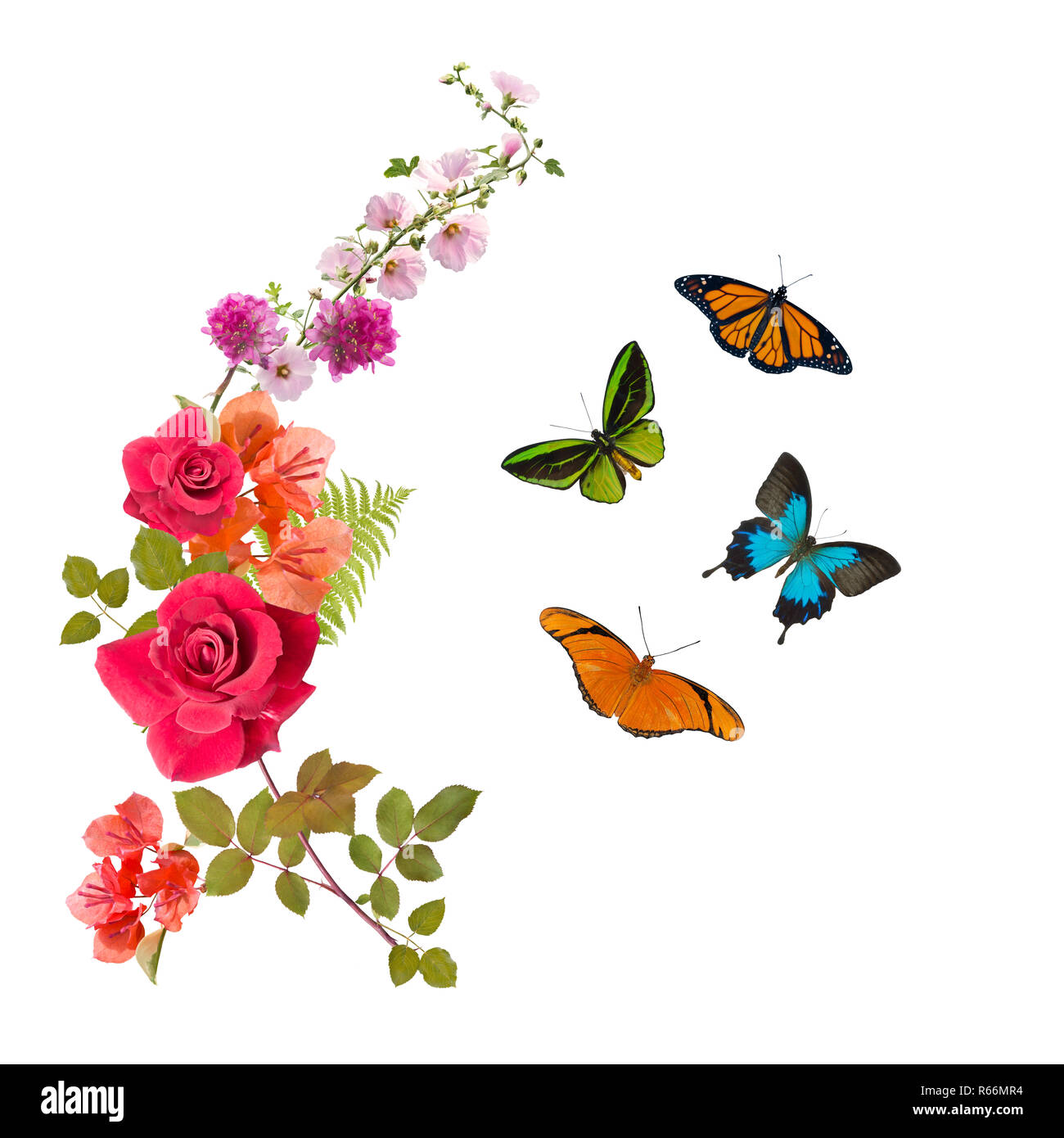Schmetterlinge und Blumen Anordnung Stockfoto