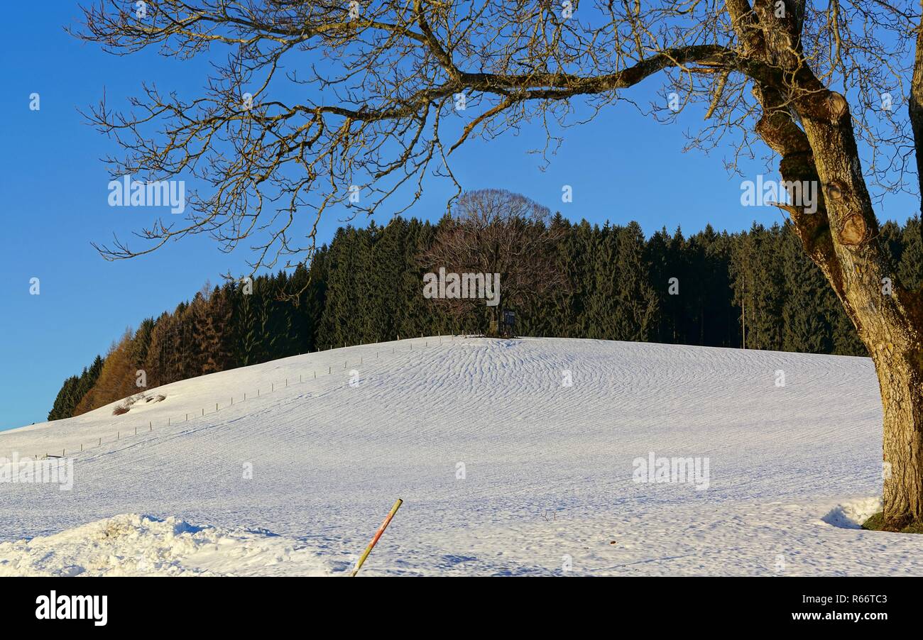 Spuren im Schnee nach dem Regen auf einem Hügel vor balzerberg Stockfoto