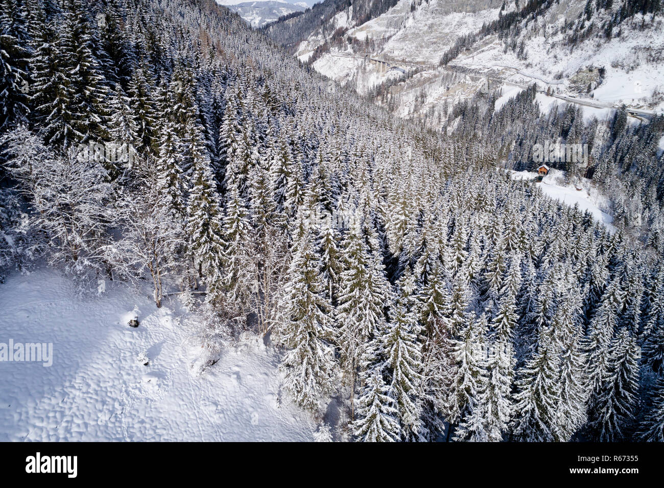 Antenne Flug mit Drohne über Nadelwald im Winter in Österreich in Salzburg. Stockfoto