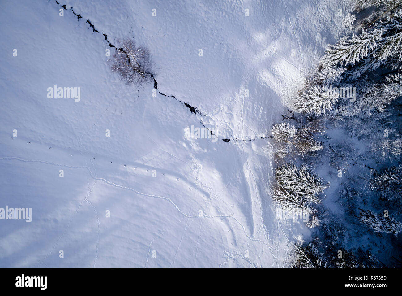 Antenne Flug mit Drohne über Nadelwald im Winter in Österreich in Salzburg. Stockfoto