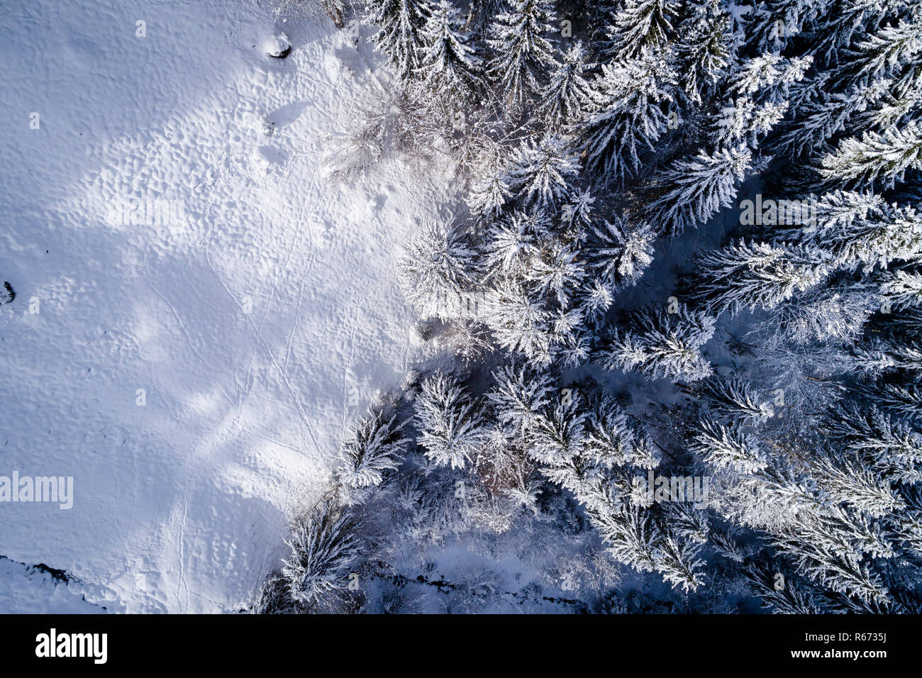 Antenne Flug mit Drohne über Nadelwald im Winter in Österreich in Salzburg. Stockfoto