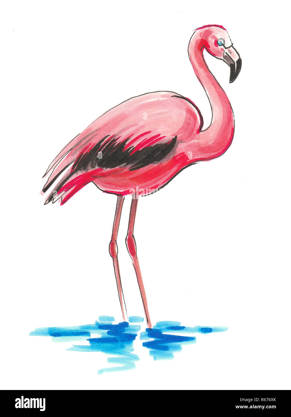 Rosa Flamingo Vogel stehen im Wasser. Tusche und Aquarell Abbildung  Stockfotografie - Alamy