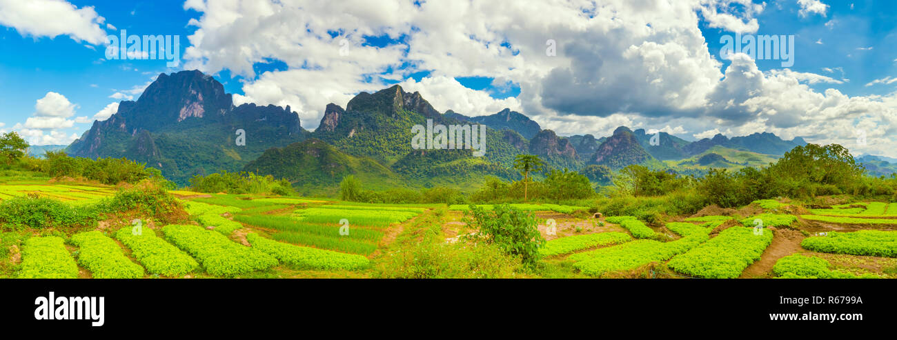 Schöne ländliche Landschaft. Vang Vieng, Laos. Panorama Stockfoto
