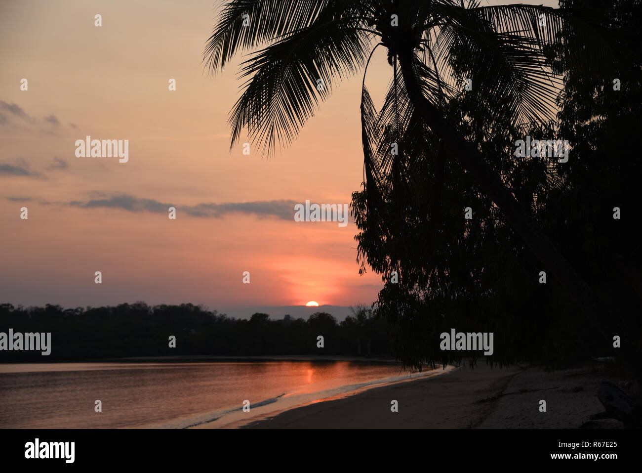 Die wunderschönen tropischen Paradies der nördlichen Küste von Queensland Australien bei Sonnenaufgang. Stockfoto