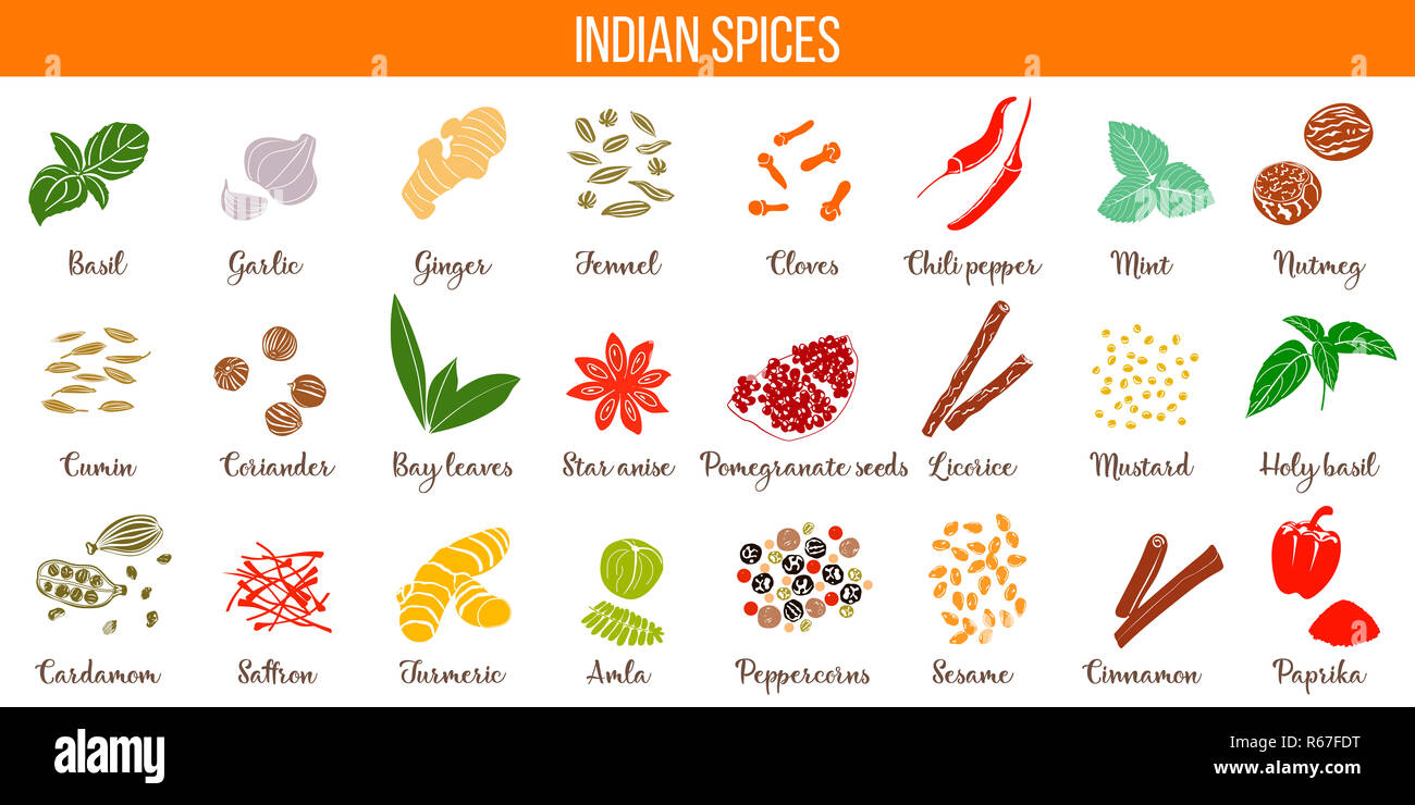 Großen Vektor-Set der beliebten kulinarischen Gewürze Silhouetten. Ingwer, Chili-Pfeffer, Knoblauch, Muskatnuss, Anis etc.. Stockfoto