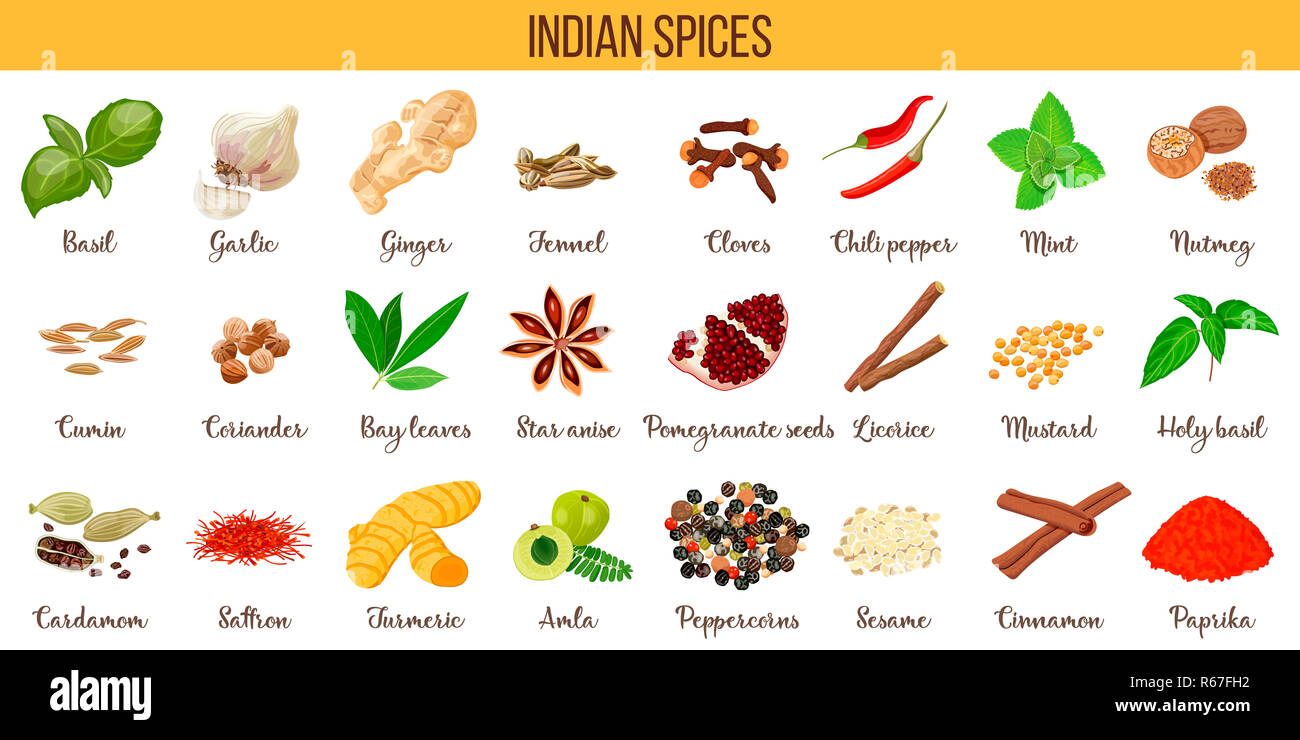 Großen Vektor-Set der beliebten kulinarischen Gewürze Silhouetten. Ingwer, Chili-Pfeffer, Knoblauch, Muskatnuss, Anis etc.. Stockfoto