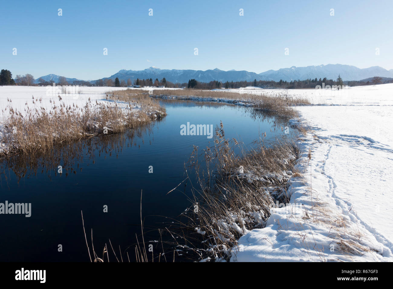 Murnauer Moos im Winter mit Blick auf die Alpen Stockfoto