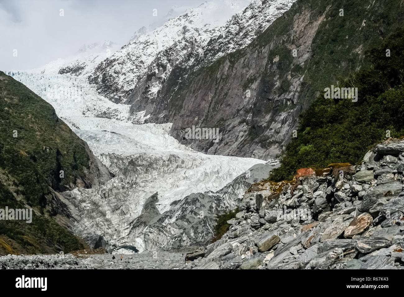 Franz Josef Gletscher Stockfoto