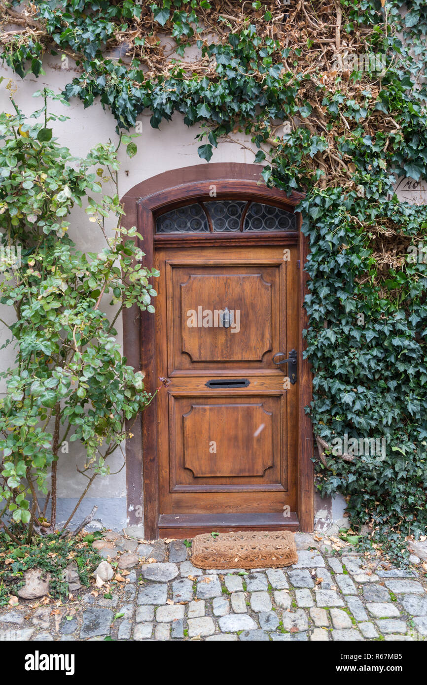 Herbst Farben um die Eingangstür eines rustikalen englischen Cottage. Stockfoto