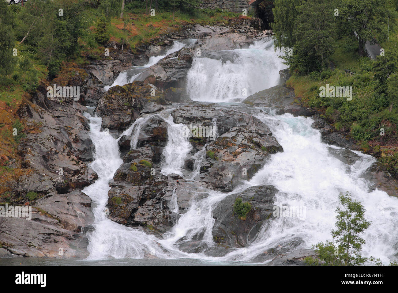 Fällt an einem Hang. Hellesylt, Norwegen Stockfoto