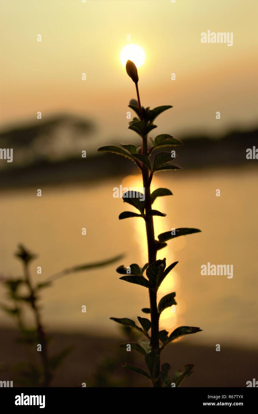 Eine Sonne mit schönen Tag Stockfoto