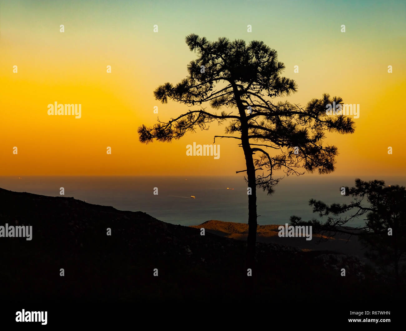 Silhouette von einem Regenschirm Baum gegen das Meer bei Sonnenuntergang Stockfoto