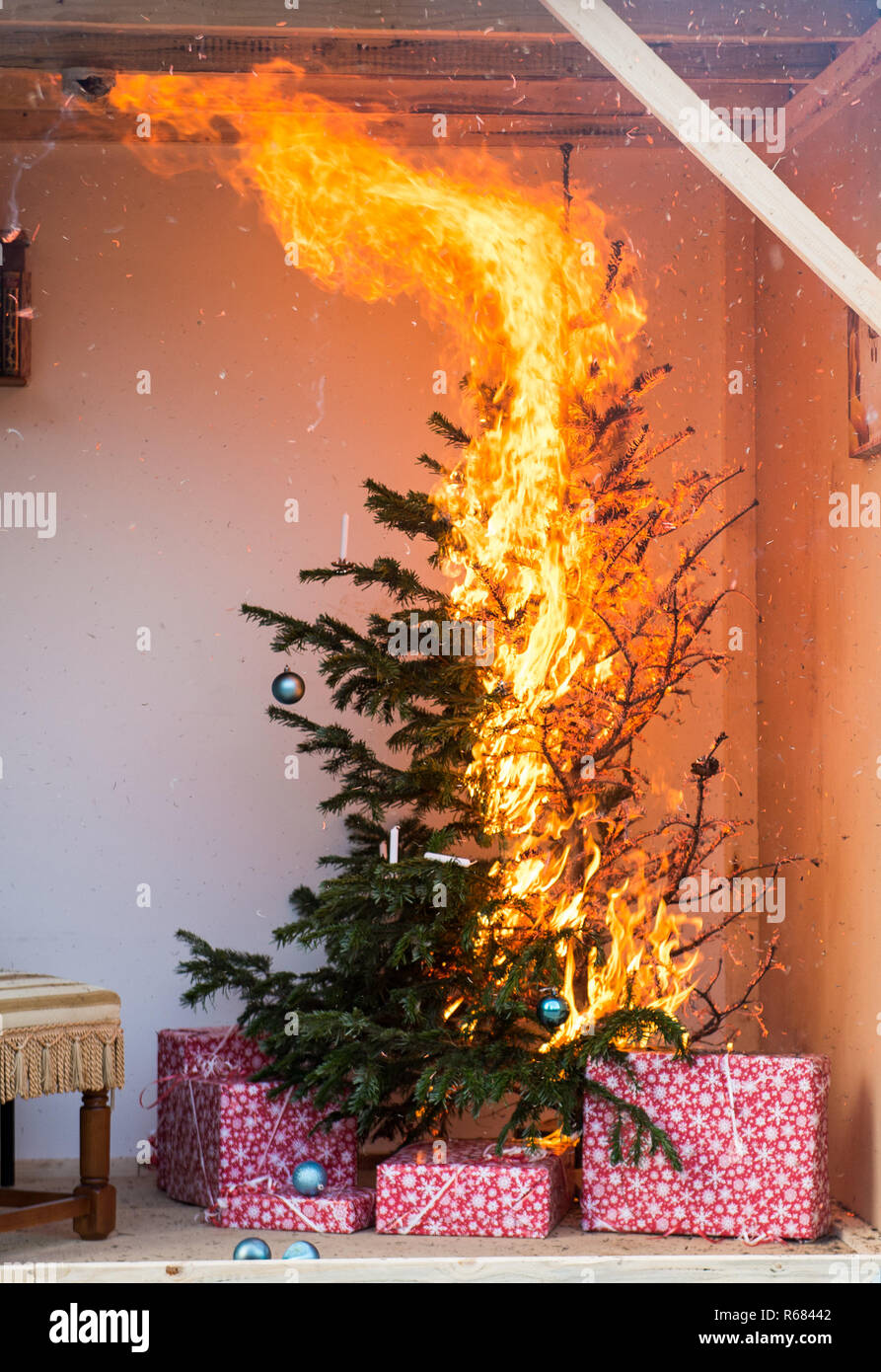 04 Dezember 2018, Schleswig-Holstein, Ahrensburg: ein Weihnachtsbaum brennt in einem rekonstruierten Wohnzimmer. Die Feuerwehr über die Gefahren in der Weihnachtszeit und zum Jahreswechsel informiert. Foto: Daniel Bockwoldt/dpa Stockfoto