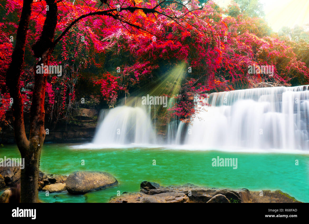 Wasserfall im wundervollen tiefen Wald am Petchaboon Thailand. Stockfoto