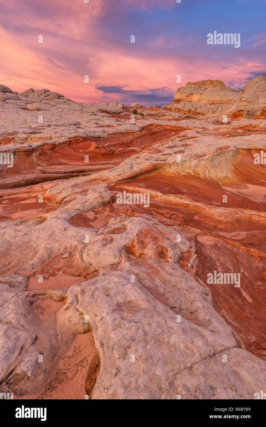 Dawn, White Pocket, Vermillion Cliffs National Monument, Paria Plateau, Arizona Stockfoto