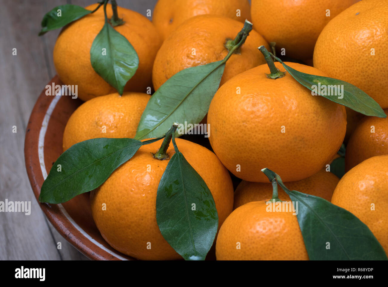 Frische reife Tangerinen mit Blättern in der Schüssel auf einer hölzernen Hintergrund. Nähe zu sehen. Stockfoto