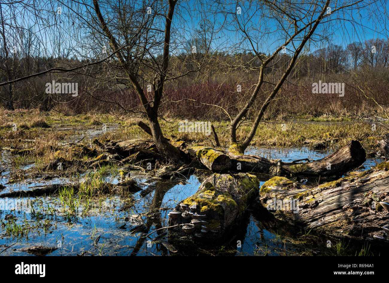 Landschaft finden Tegeler Flow Stockfoto