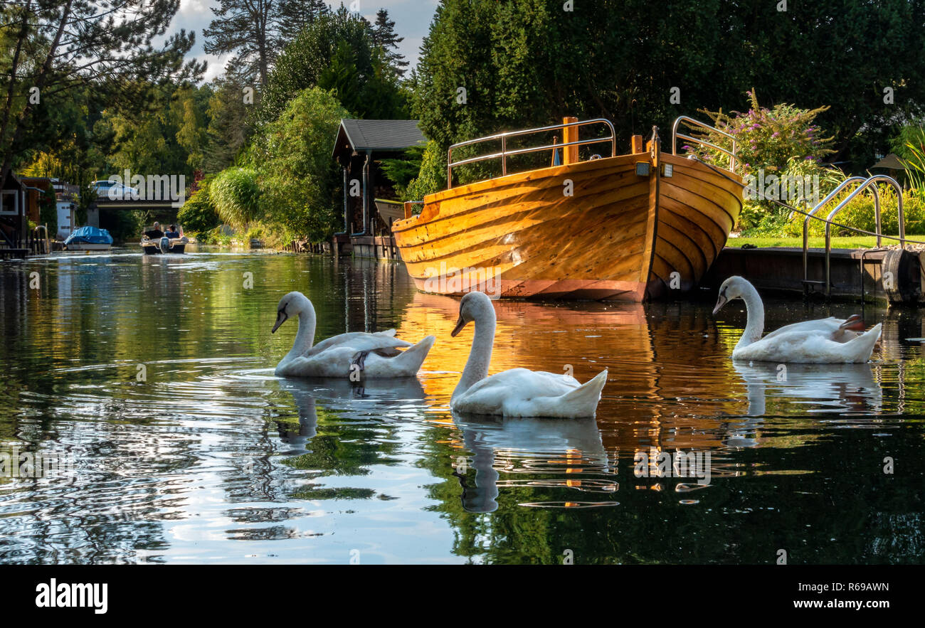 Wasser Kanal In der Gartenstadt neue Venedig in Berlin Stockfoto