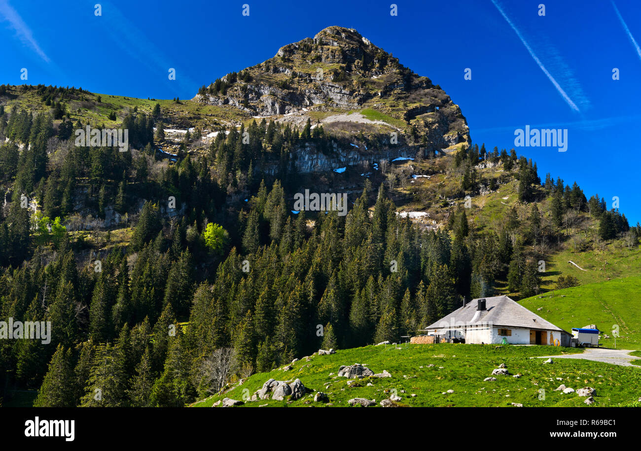 Alm Molkerei unter Peak Dent de Jaman, Col De Jaman, Les Avants, Waadt, Schweiz Stockfoto