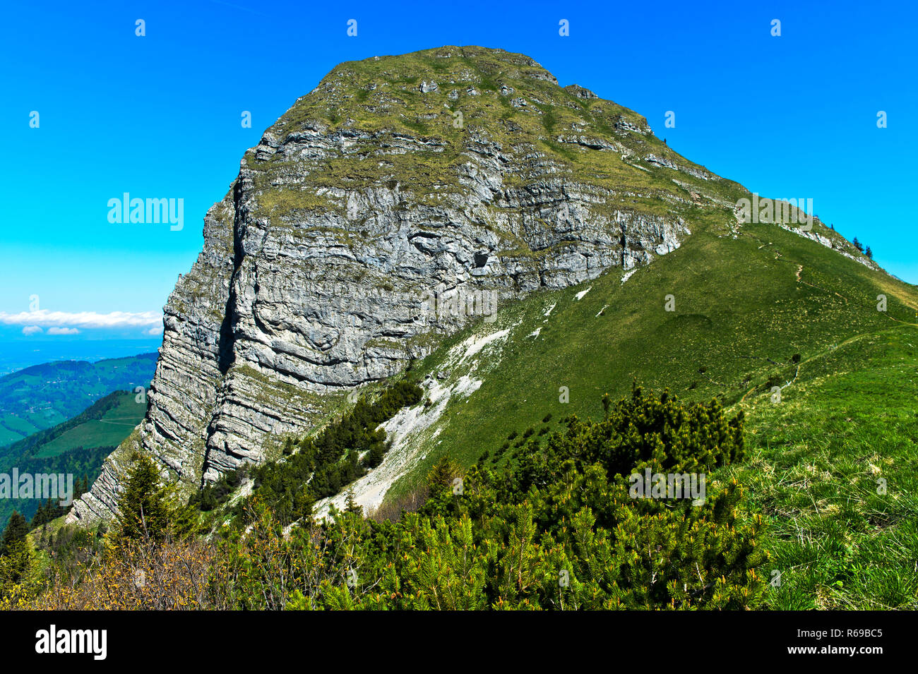 Peak Dent de Jaman oberhalb Montreux, Alpen Bernoise, Waadt, Schweiz Stockfoto