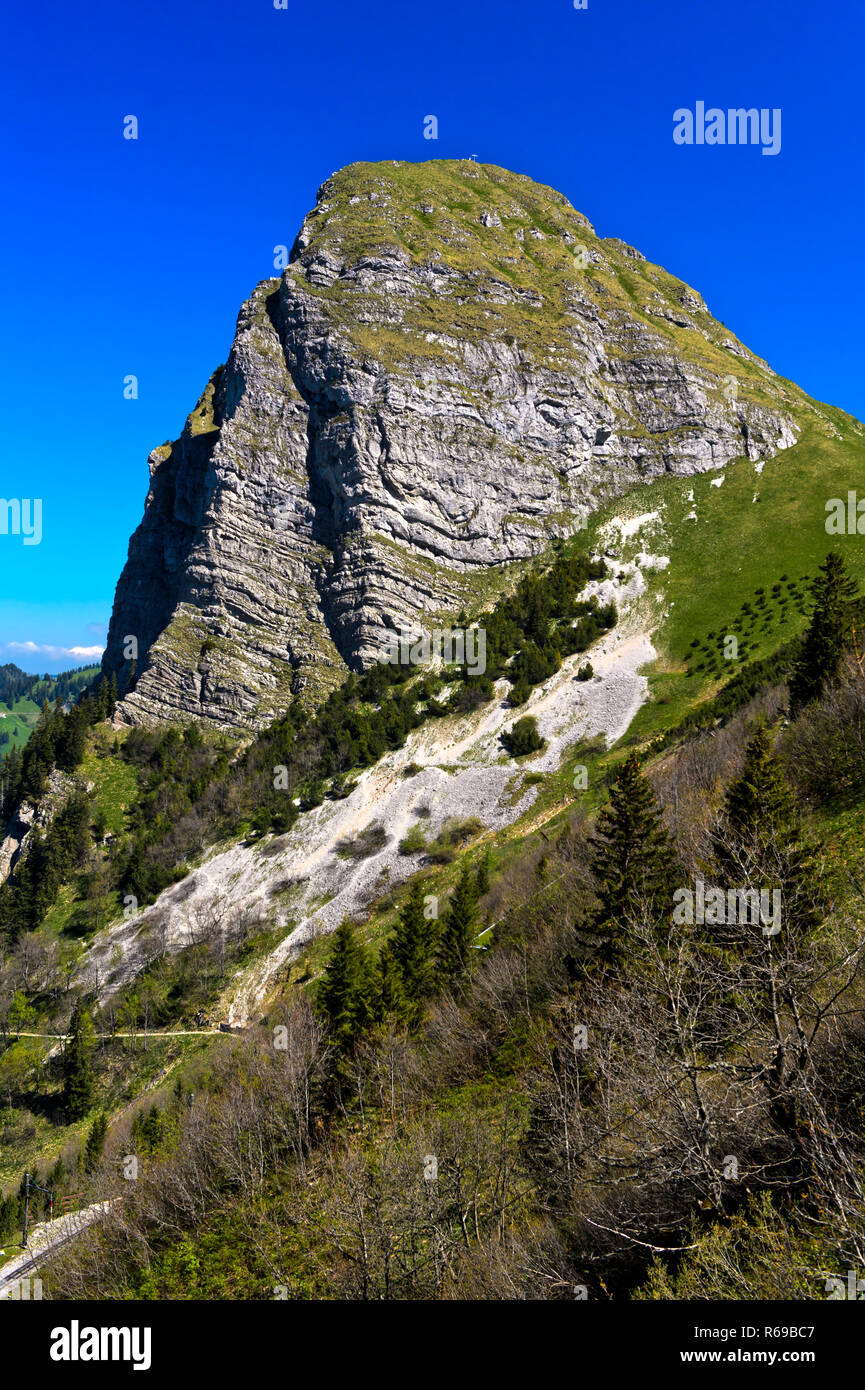Peak Dent de Jaman oberhalb Montreux, Alpen Bernoise, Waadt, Schweiz Stockfoto