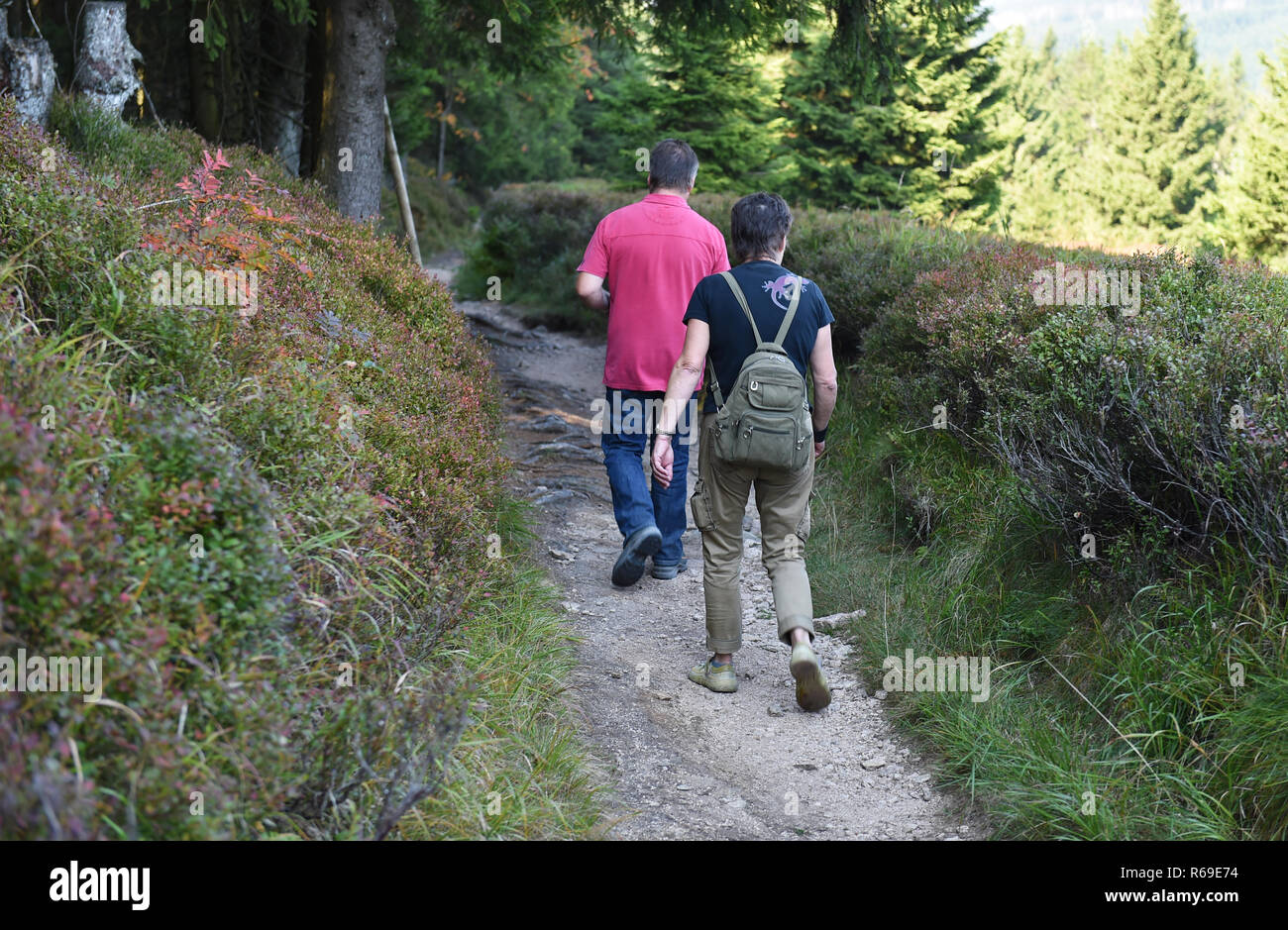 Wanderer Im Harz Stockfoto