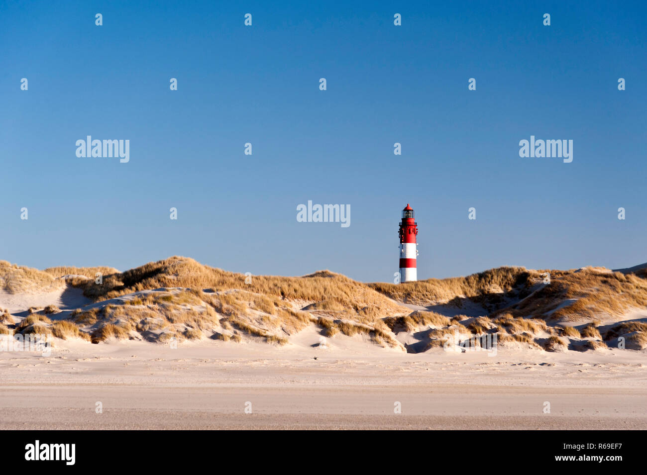 Leuchtturm auf Amrum Stockfoto