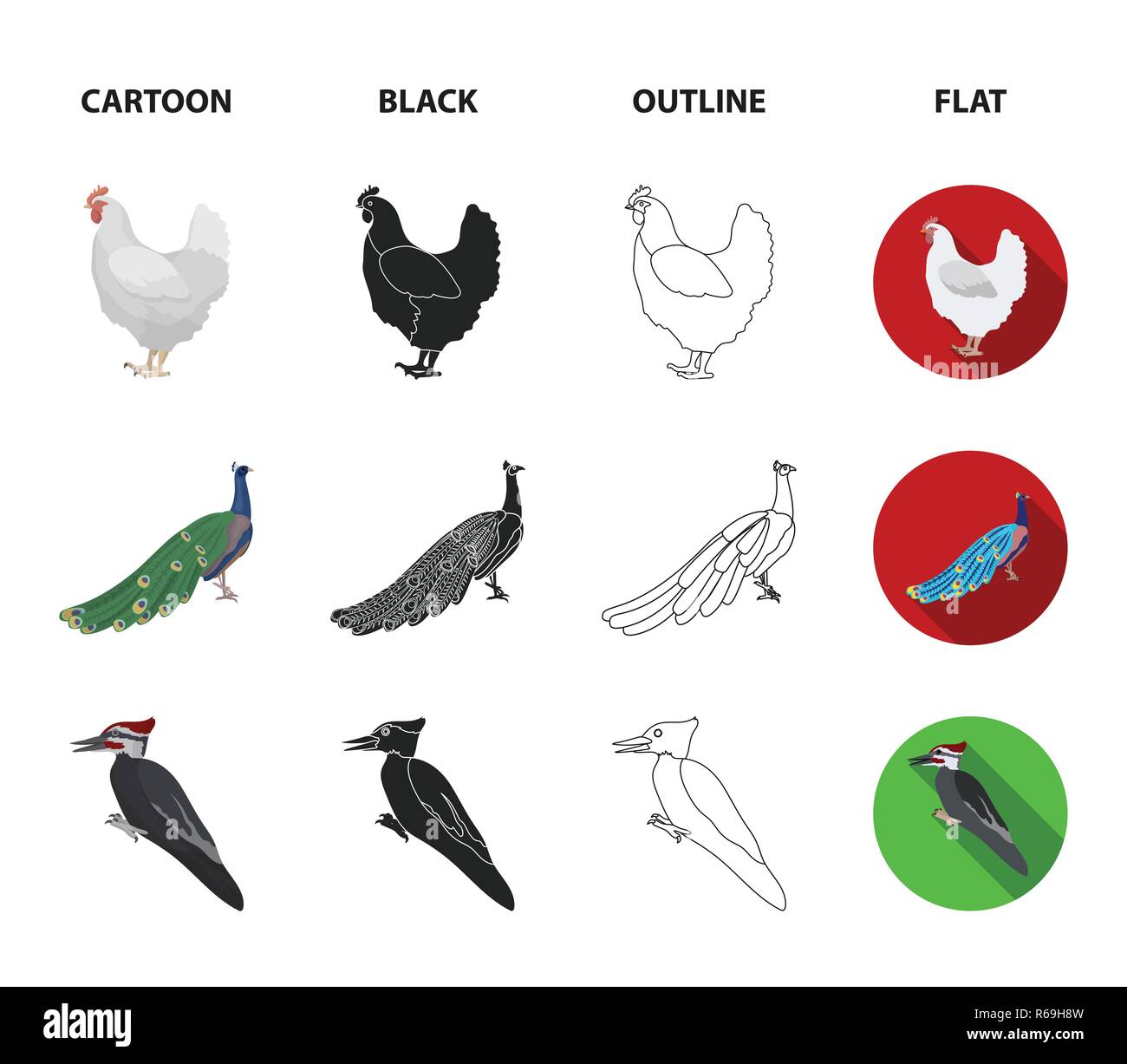 Crow, Strauß, Huhn, Pfau. Vögel stellen Sammlung Icons im Cartoon, schwarz, Outline, flacher Stil vektor Symbol lieferbar Abbildung: Stock Vektor