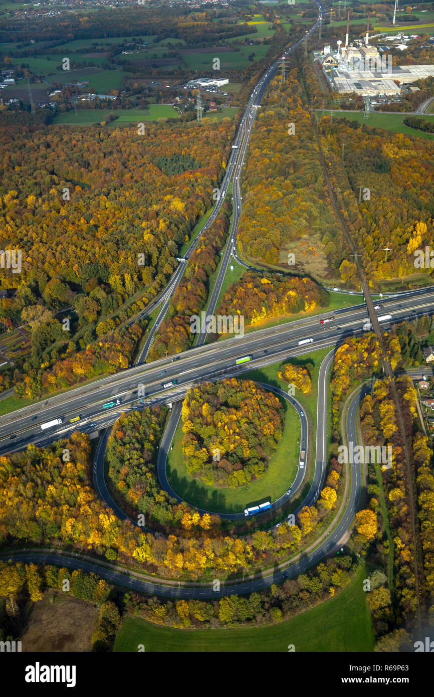 Luftaufnahme, Autobahnkreuz Bottrop, Autobahn A2, Autobahn A31, Friesenspieß, Herbstlaub, Herbst Wald, Eigen, Bottrop Stockfoto