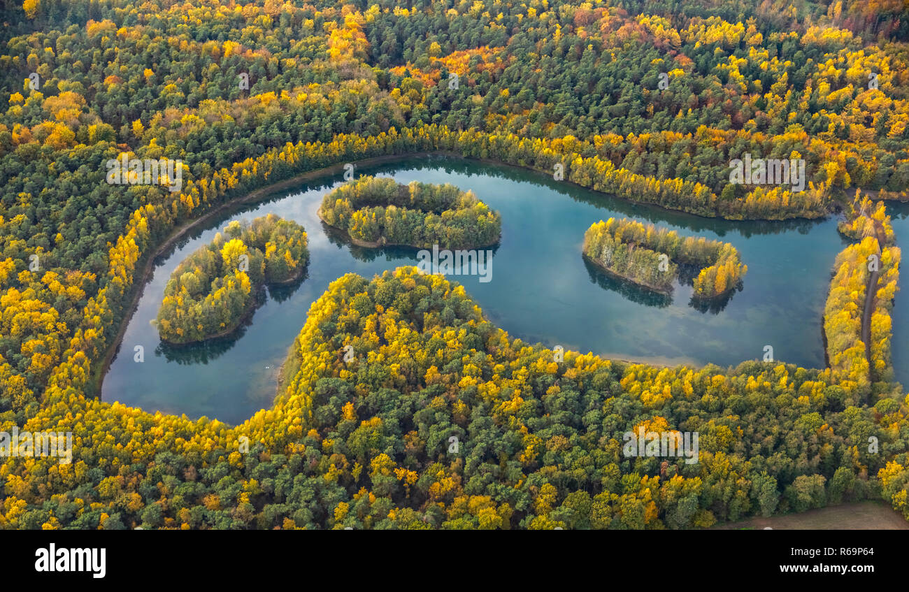 Luftaufnahme, See Heidesee, Inseln mit Herbst Wald, bunte Blätter im Herbst, Grafenwald, Kirchhellen, Bottrop, Ruhrgebiet Stockfoto