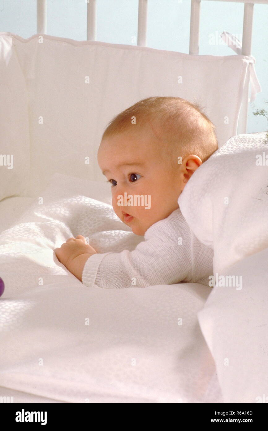 Portrait, Baby, 3 Monate, Balatonfüred in Bauchlage in seinem mit weisser Waesche bezogenem Gitterbett und versucht sein Koepfchen zu heben Stockfoto