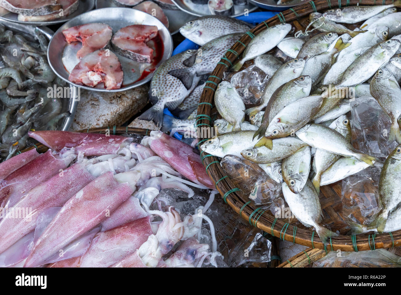 Frischer Fisch auf lokaler traditioneller Markt in Hue, Vietnam. Stockfoto