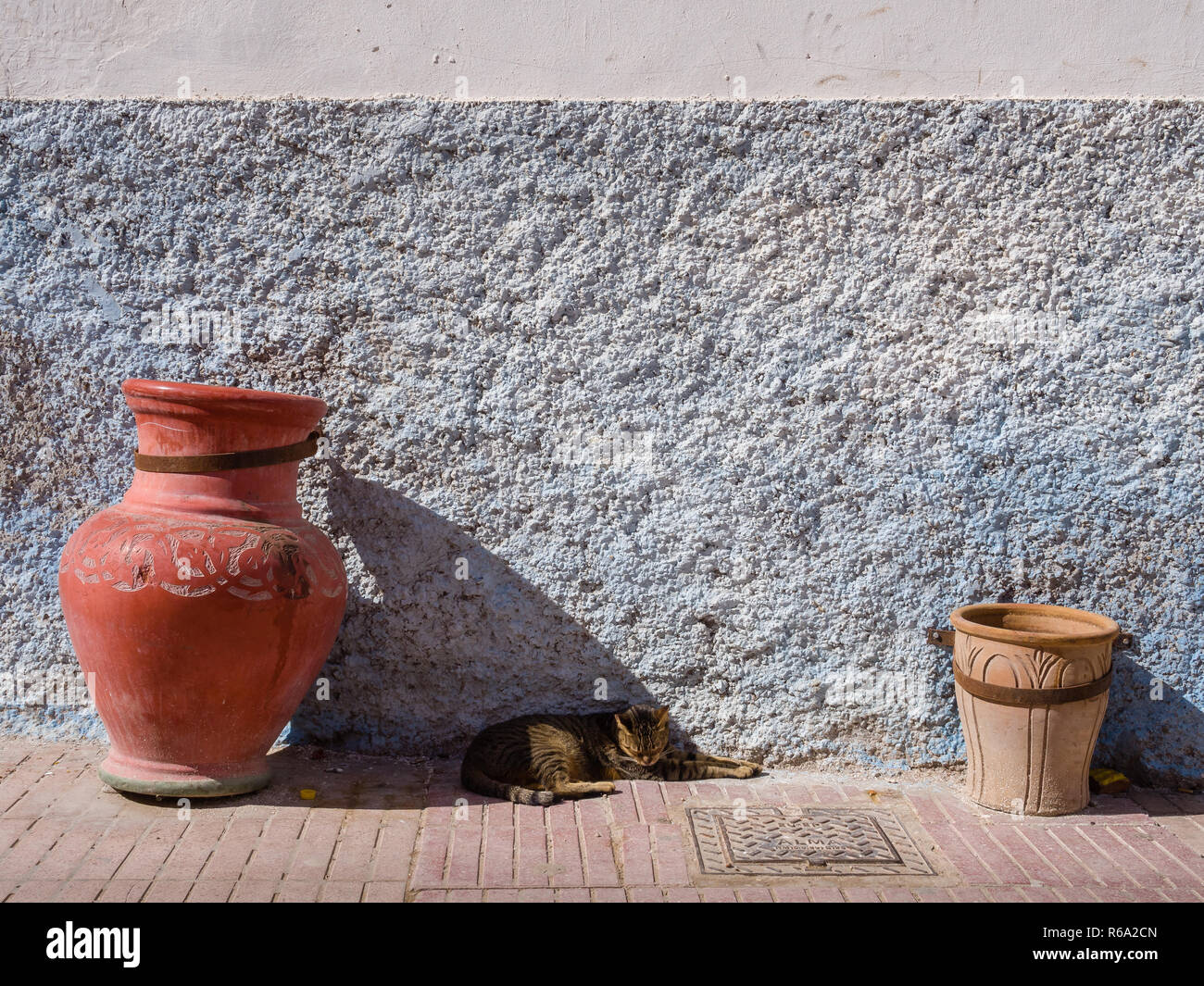 Cat aufwärmen in der Sonne auf die Medina von Essaouira, Marokko Stockfoto