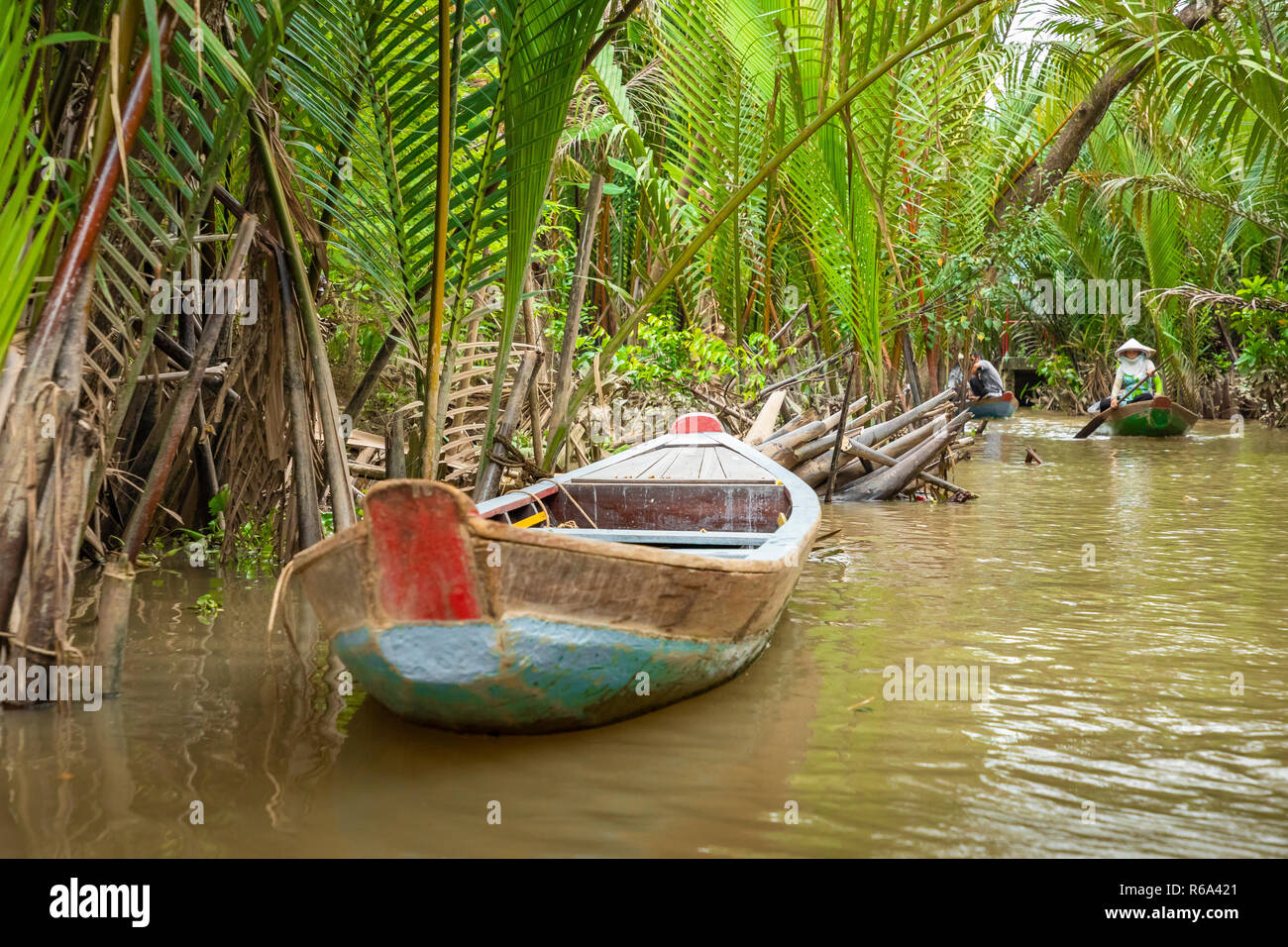 MY THO, VIETNAM - November 24, 2018: Mekong Delta Jungle Cruise mit nicht identifizierten craftman und Fisherman Ruderboote auf Überschwemmungen schlammigen Lotus fi Stockfoto