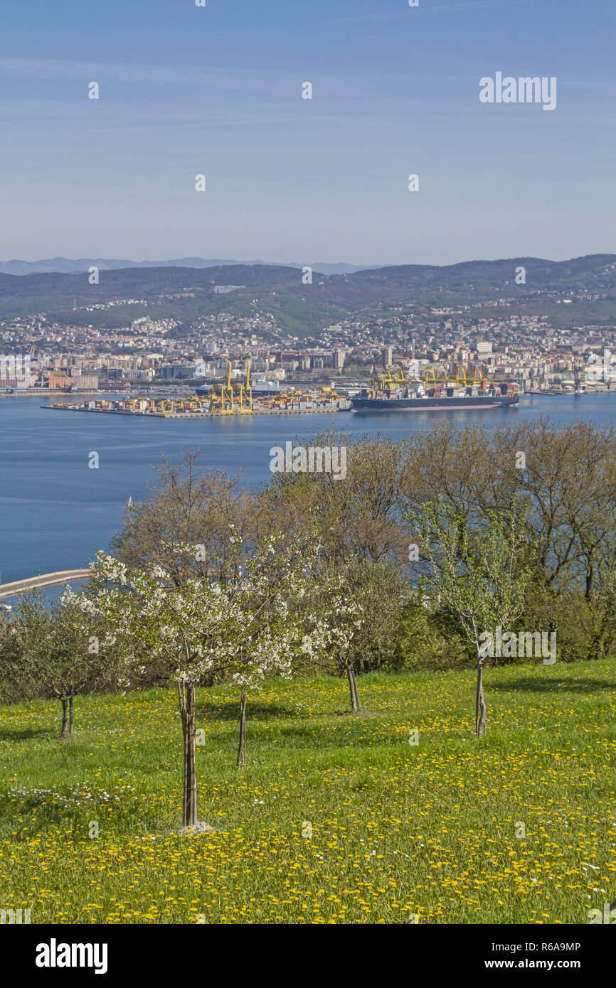 Blick vom idyllischen Vordergrund der Stadt Triest mit seinem Hafen Standorte Stockfoto