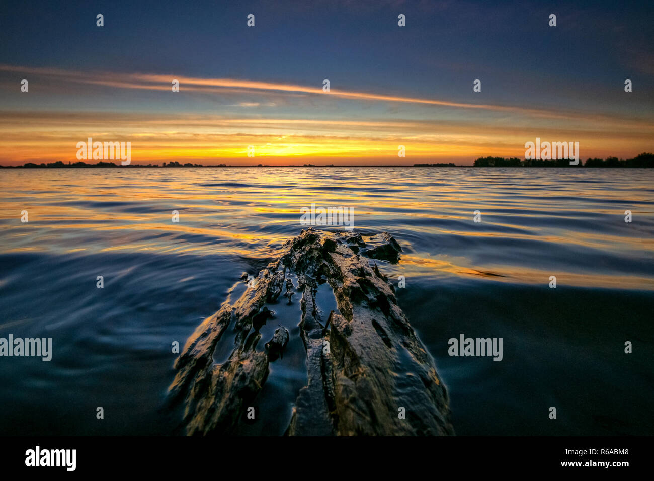 Sonnenuntergang an der Kante entlang der Seen in Flevoland. Floating Stück Treibholz an der Küste mit Blick über die flache holländische Polderlandschaft gewaschen. Stockfoto