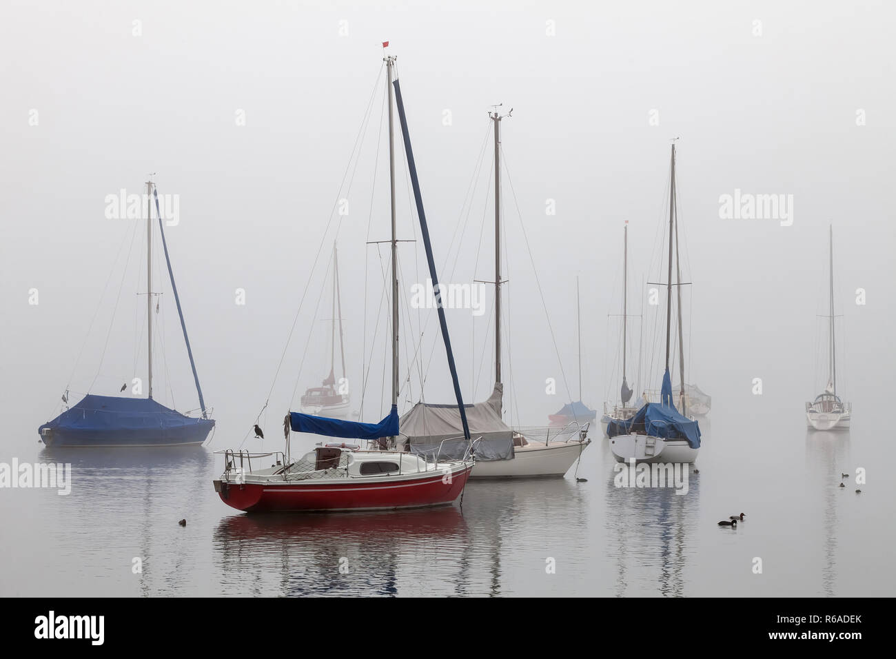 Segeln Schiffe im Nebel Stockfoto