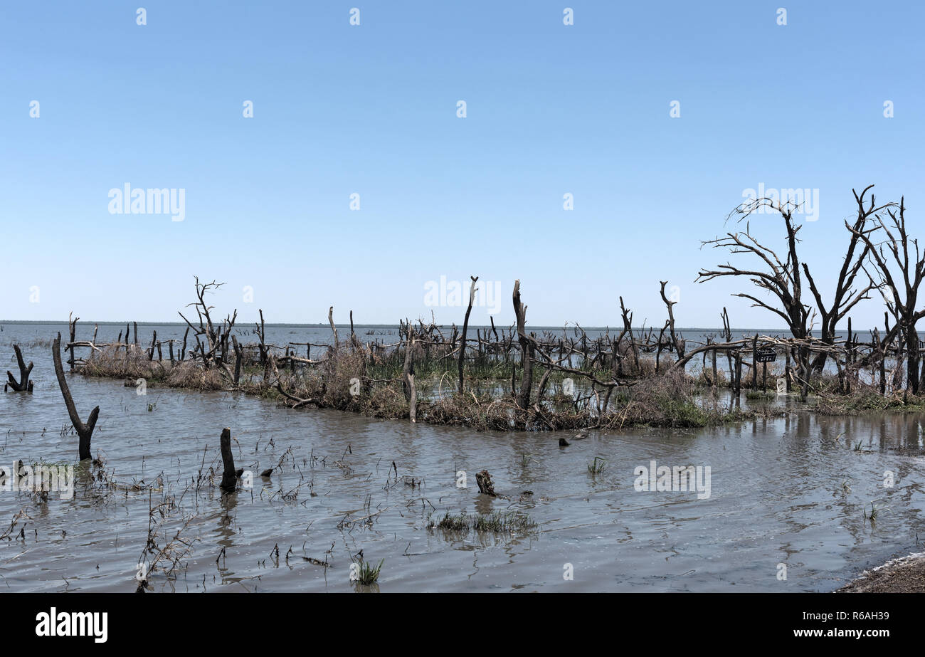 Das sumpfige Ufer von Lake ergiessende Okawango südlich des Okawango Delta in Botswana. Stockfoto