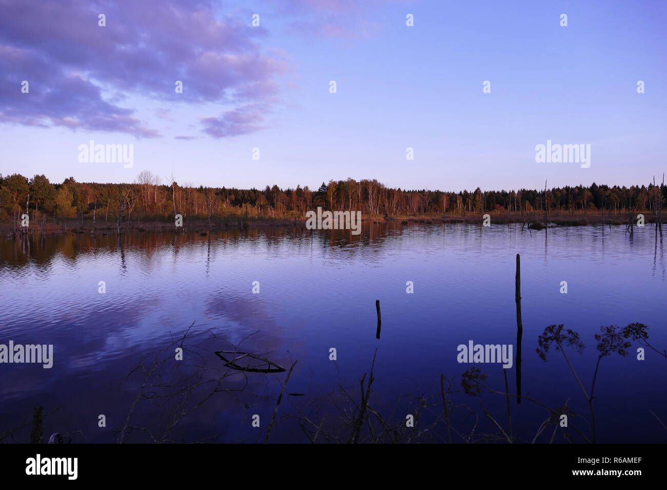 Schwenninger Moos am Abend, Ursprung des Neckars Stockfoto